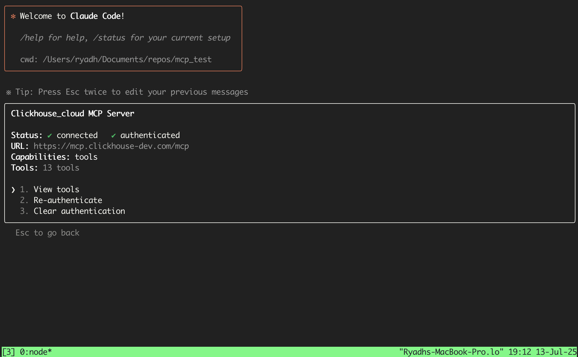 Claude Code MCP Details