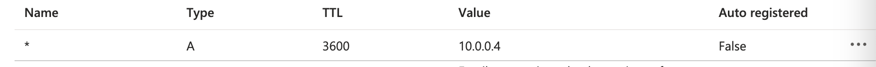 Private Link DNS 通配符配置