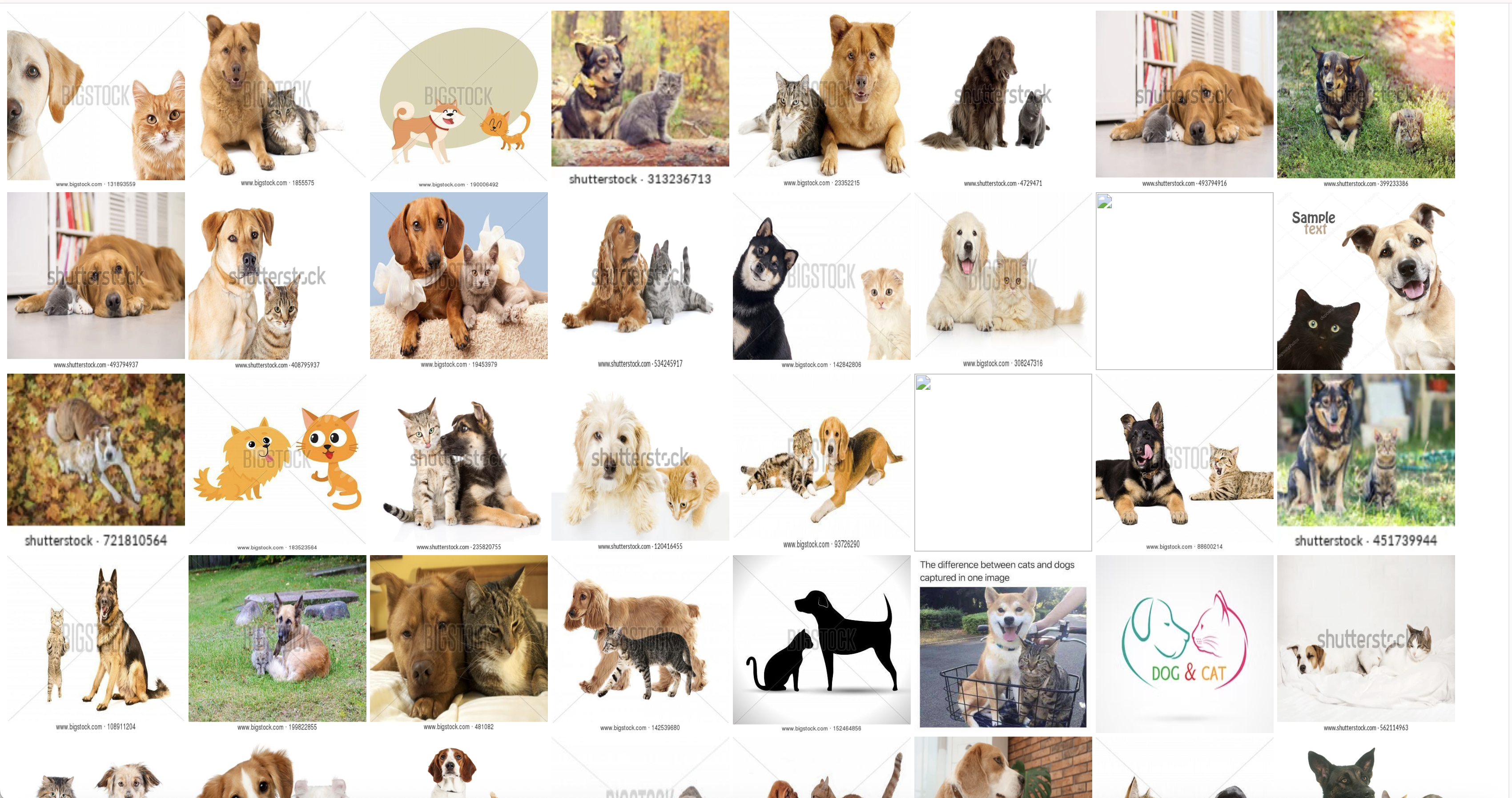 向量相似度搜索结果